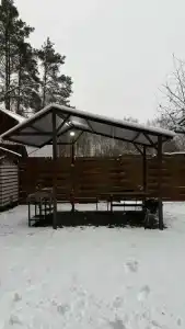 Сова - 18