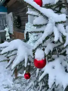 Частный дом для туристов - 14