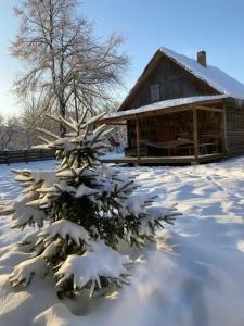 Уютный лесной домик со всеми удобствами в Полянках - 10