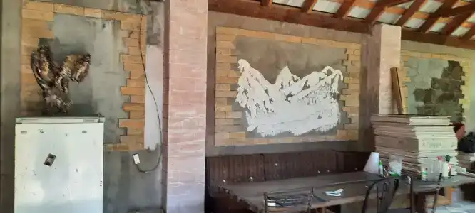 Гостевой домик с видом на пальмы - 2