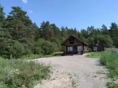 Озеро и лес - 1