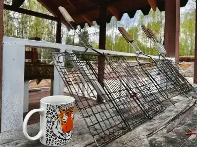 Жили-были - 18