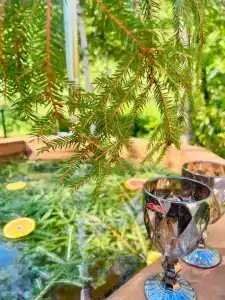 Медвежий угол - 10