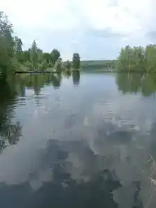 Лосиный мыс - 30