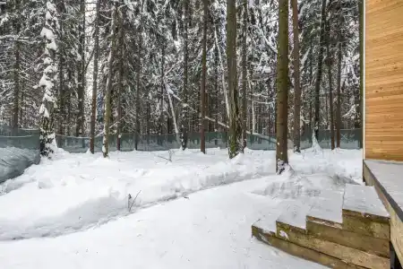 Наш лес - 50