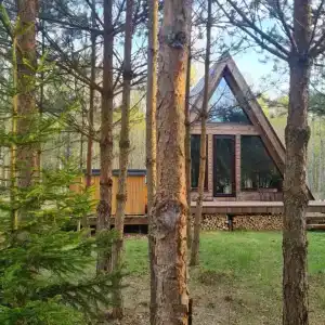 Глэмпинг Ёлкино За Палкино - 1