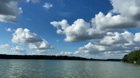 Квартира в ЖК Новое Бисерово с видом на лес - 19