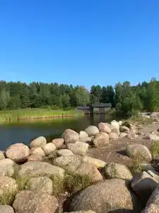 Уютный домик в сосновом лесу - 6