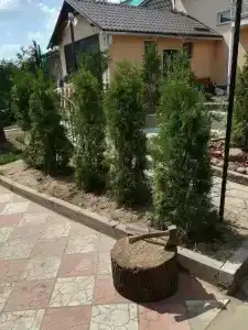 Kottiedzh Pod lipoi - 2