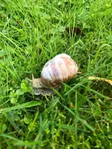 Домик у озера - 82