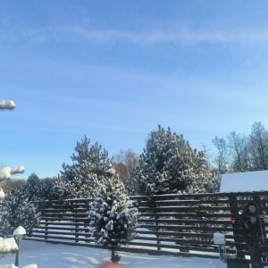 Панский Вал - 27