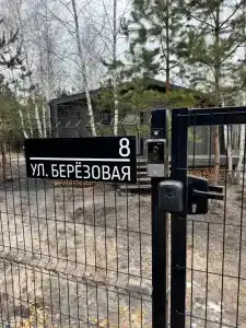 Betula - 99