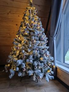 A-frame Сосновый бор - 124