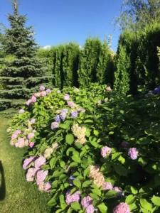 Уютный домик с баней на Можайском Море - 25