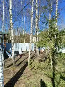 Birch Corner - 27