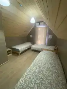 Сосна - 41