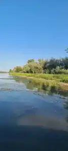 Дом у реки - 5