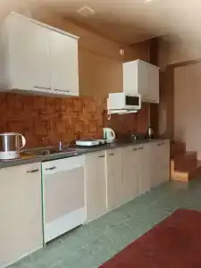 Феникс - 111