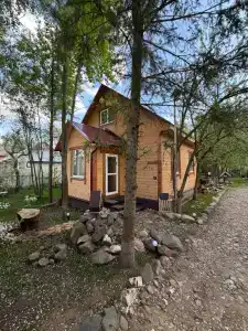 Березовый сад - 23