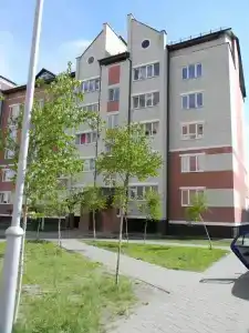 Mango на Дружбы 4/2 - 17