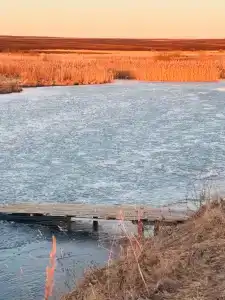 Сердце Суздальского Ополья - 117