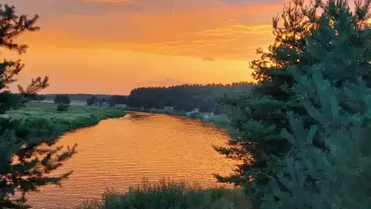 Дом с баней в глемпинге Байкал - 96