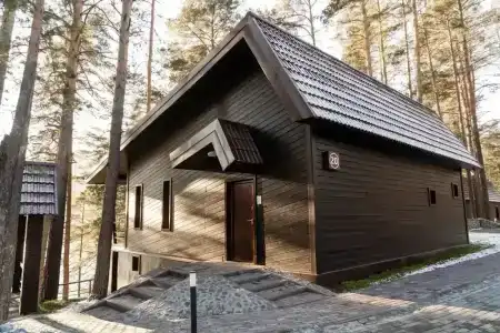 Шишка - 15