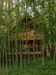 Звен Дзен - 172