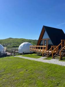 Аквариум - 95