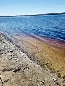 Прозрачный берег - 78