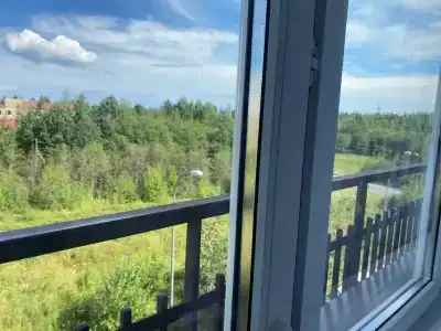 Apartment on Belinskogo 7V - 11