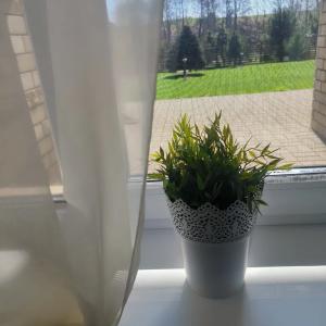 Панский Вал - 21