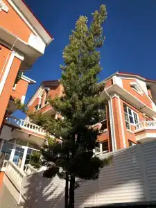 Квартиры на Виноградной 89/2 - 184