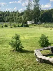 Белый Кролик - 15