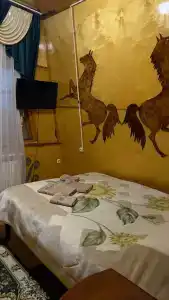 Золотой мустанг - 7
