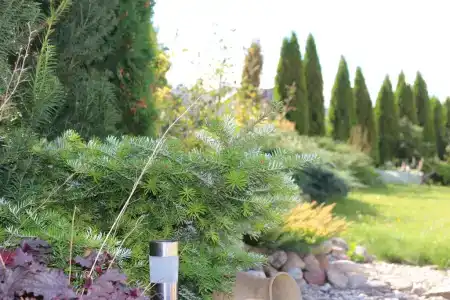 Жировичское Предместье - 17