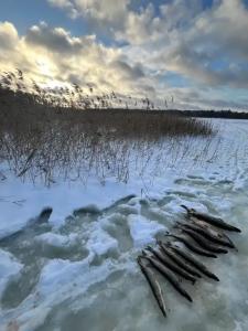 Коттедж с сауной рядом с озером - 32