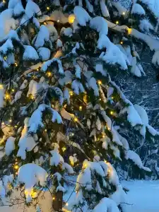 Уютный загородный дом в СТ Щит - 40