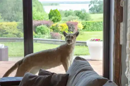 Вилла у озера Мядель - 24