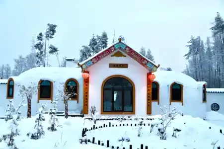 Хэйлун - 57
