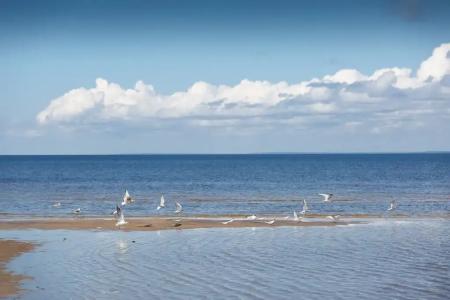 Белые Ночи - 9