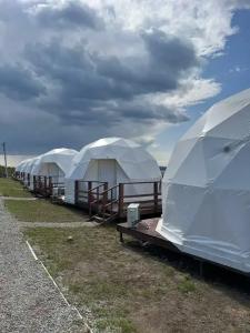 Аквариум - 112