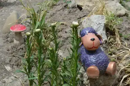 Родничок - 26