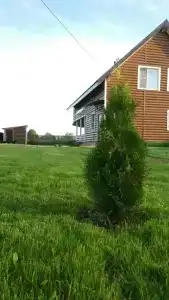 Уютный Двухэтажный коттедж с шикарной Баней на дровах - 6