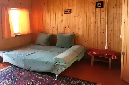 Чайка - 1