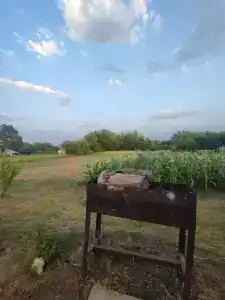 Прованс - 12
