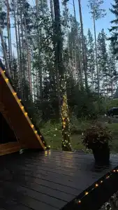 Вудлэнд - 9