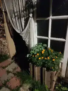 Лисапедово - 120