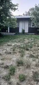 Светлана - 83