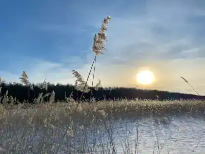 Vuoksa&Village - 34